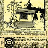 Jesus Spike In Vain Jesus Was Born In A Mobile Home (2 LP) (Coloured Vinyl)