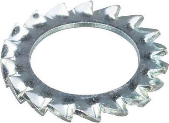 Hoenderdaal Fasteners Hoenderdaal Tandveerring Din6798A M14 Elvz - 100 stuks