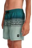 O'Neill LOGO STRIPE 16'' Zwemshort Groen Heritage Stripe M