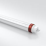 HOFTRONIC LED Buis 145cm T5 (G5) 30W 5250lm 6000K Daglicht wit licht