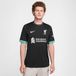 Nike Liverpool FC Short Sleeve Top LFC M Nk Df JSY Ss Stad Aw, Night Forest/Anthracite/Washed Teal/Sail, FN8780-322, XS