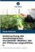 Untersuchung Verlag Unser Wissen Untersuchung der morphologischen Variabilität (Blätter) der Art Phillyrea angustifolia L.