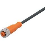 ifm Electronic EVC001 Câble de raccordement M12 femelle, droit 2 m Nombre de pôles: 5 1 pc(s) Monocanal