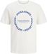 JACK & JONES JJBENSON TEE SS CREW NECK Heren T-shirt