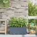 Maison Exclusive - Pots de plantes de jardin, 2 pièces, gris clair, 80 x 40 x 37,5 cm, plastique PP