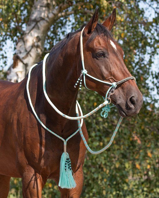 QHP Touwhalster Combi Liberty Ice Green - COB - One size