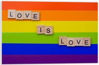 MijaCulture Take Your Time Forex - 'love is Love'' op Regenboogachtergrond - 60x40cm Foto op Forex