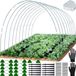 Ibenzoa® Complete Doe-het-zelf Folietunnel Kit voor Verhoogde Bloembedden en Mini Broeikassen