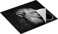Chefcare Inductie Beschermer Leeuw - Leeuwenkop - Zwart Wit - 59x52 cm