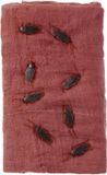 Smiffys Cockroach Creepy Cloth Kit Halloween Decoratie - Bruin