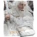 LORD OF THE RINGS GANDALF Silky Touch superzachte plaid 152 x 127 cm