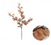 Buitengewoon Boet Buitengewoon de Boet Money leaf tak bruin 104 cm