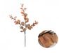 Buitengewoon Boet Buitengewoon de Boet Money leaf tak bruin 104 cm