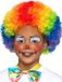 Smiffys Clown Pruik Kinderen Regenboog