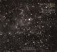 Bertus Distributie Harmonia Mundi Jean-Pierre Collot - Universe