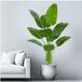 Unyqoos® Grote decoratieve kunstplant met natuurlijke uitstraling voor binnenruimtes