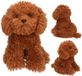 Depesche TOPModel Knuffel Hond Teddy 30 cm - Bruin