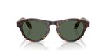 Giorgio Armani AR 8225 Lunettes De Soleil Homme Marron Carrées Vert 49mm