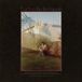 Konkurrent Fruit Bats - The Pet Parade (CD)
