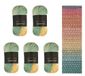 Wollbiene Summer Touch Batik 5 x 100 gram wol meerkleurig met kleurverloop, 500 gram gemerceriseerde breiwol microvezel-acryl (501 geel-oranje-mint)
