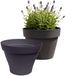 EDA Romeo Pot de fleurs / pot de plantes - 2x - plastique - anthracite - D21 x H16 cm - intérieur et extérieur