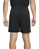Nike Heren Shorts M J Df SPRT Mesh Short