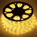 Forever Speed LED-lichtslang voor buiten - 50 meter - Warm wit