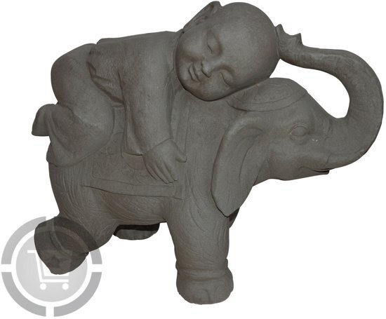 GerichteKeuze Kind monnik op olifant