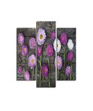 Homemania Wandafbeelding, 3 stuks, natuur, voor woonkamer, slaapkamer, meerkleurig, 57 x 0,3 x 60 cm, HM203MDF4, MDF