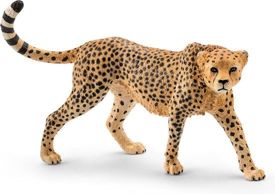 Schleich WILD LIFE Cheetah Vrouwtje 14746 - Speelfiguur