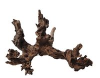 Amtra Legno Mystic Wood - maat XL 50-70 cm, decoratie van natuurlijk hout voor aquaria, natuurlijke stam ornament, decoratie voor terraria