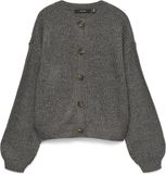 VERO MODA VMLEA LS O-NECK CARDIGAN NOOS Dames Vest - Maat S