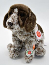 Teddy-hermann Duitse kortharige Pointer hond 919681