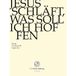 Outhere J.S. Bach-Stiftung Chor & Orchester Der J.S. Bach-Stiftung, Rudolf Lutz - J.S. Bach: Jesus Schlaft, Was Soll Ich H (DVD)