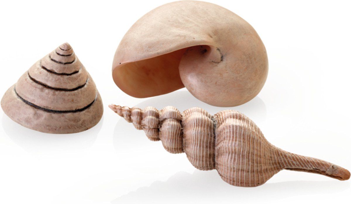 biOrb BiOrb Set Zeeschelpen Naturel