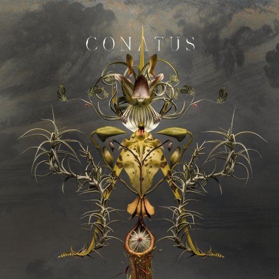 Joep Beving Conatus (LP)
