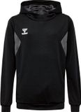 Hummel Kinderhoodie Hmlauthentic Pl Kids 219977