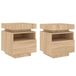 VidaXL Nachtkastjes met LED 2 stuks 40x39x48,5 cm Sonoma eikenkleurig