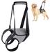 Harnais pour chien réglable - Aide à la traction pour chiens - Harnais anti-traction - Convient aux grands chiens - Polyester - Tour de taille 62-76 cm - Harnais pour chien