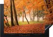 Merkloos KitchenYeah® Inductie beschermer 78x52 cm - Bladeren - Herfst - Bos - Inductiebeschermer voor kookplaat