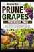 How to Prune Grapes the Right Way: A Complete Guide to Training Grapevines, Winter and Summer Pruning, Managing Fruiting Canes, Improving Vine Health, and Producing Better Grape Harvests
