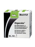 Leitz Orgacolor Afgeronde rechthoek Groen 30 x 23 mm