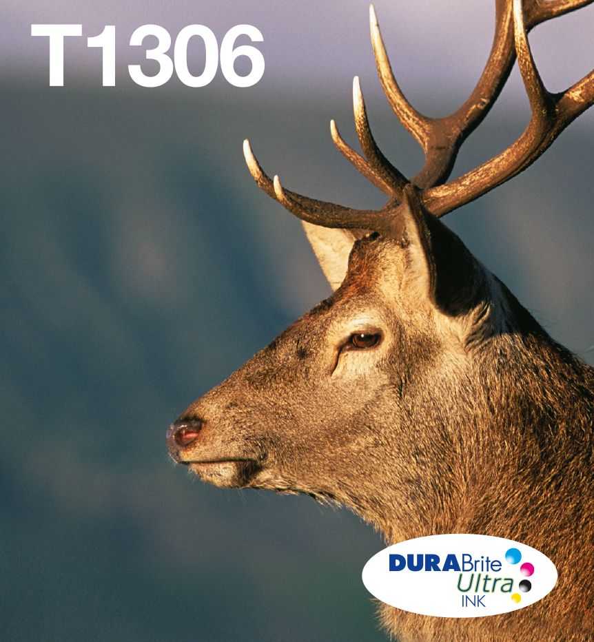 Epson T1306 Multipack - Inktcartridge - 3 kleuren - Origineel