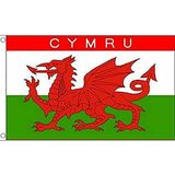 AZ FLAG Vlag Wales Cymru 90x60 cm Polyester 100D