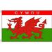 AZ FLAG Vlag Wales Cymru 90x60 cm Polyester 100D