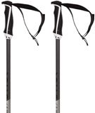 Völkl Volkl Phantastick 18mm Stokken Zilver 115 cm