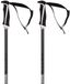 Völkl Volkl Phantastick 18mm Stokken Zilver 115 cm