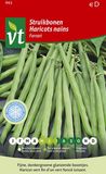 vt zaden - arborix Panda Boon Struikboon Ferrari