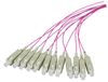 EFB Elektronik O3685.2 InfiniBand und Glasfaserkabel 2 m 12x SC Violett