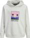 JACK & JONES JJPERRY SWEAT HOOD JNR Garçon Coton/Polyester Mélange Blanc Sweat